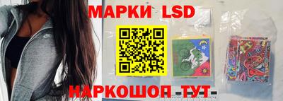 МДПВ Гусев